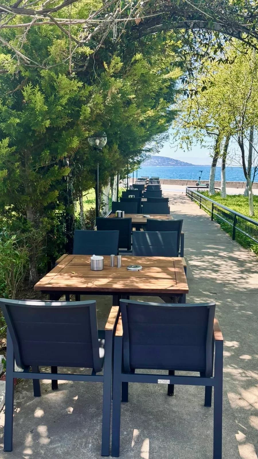 Maltepe'de ağaç gölgesindeki masalar ve Adalar manzarası